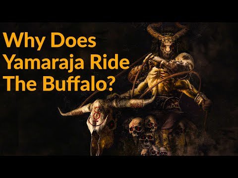 Why does Yamaraja Ride the Buffalo?