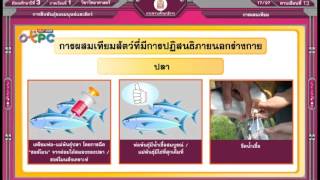 สื่อการเรียนการสอน การผสมเทียม ม.3 วิทยาศาสตร์