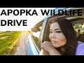 How Is This FREE The Apopka Wildlife Drive In Central Florida Will Leave You Amazed