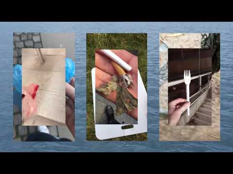 Siri Birk - A Great Fake Piece of Land