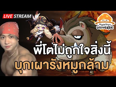 🔴พี่โตไม่ถูกใจสิ่งนี้ บุกเผารังหมูกล้าม  Ep.9  | Maplestory N (NFT)