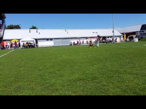 Eva Zwicker & Enya  - Round 2 FS, Vienna, Austria, 2014