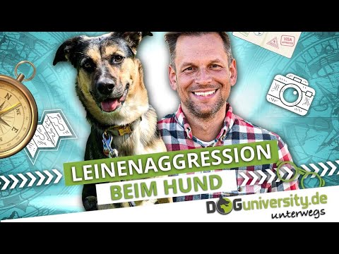 LEINENAGGRESSION beim Hund ► Ursachen und wie du sie behebst | DOGUNIVERSITY UNTERWEGS