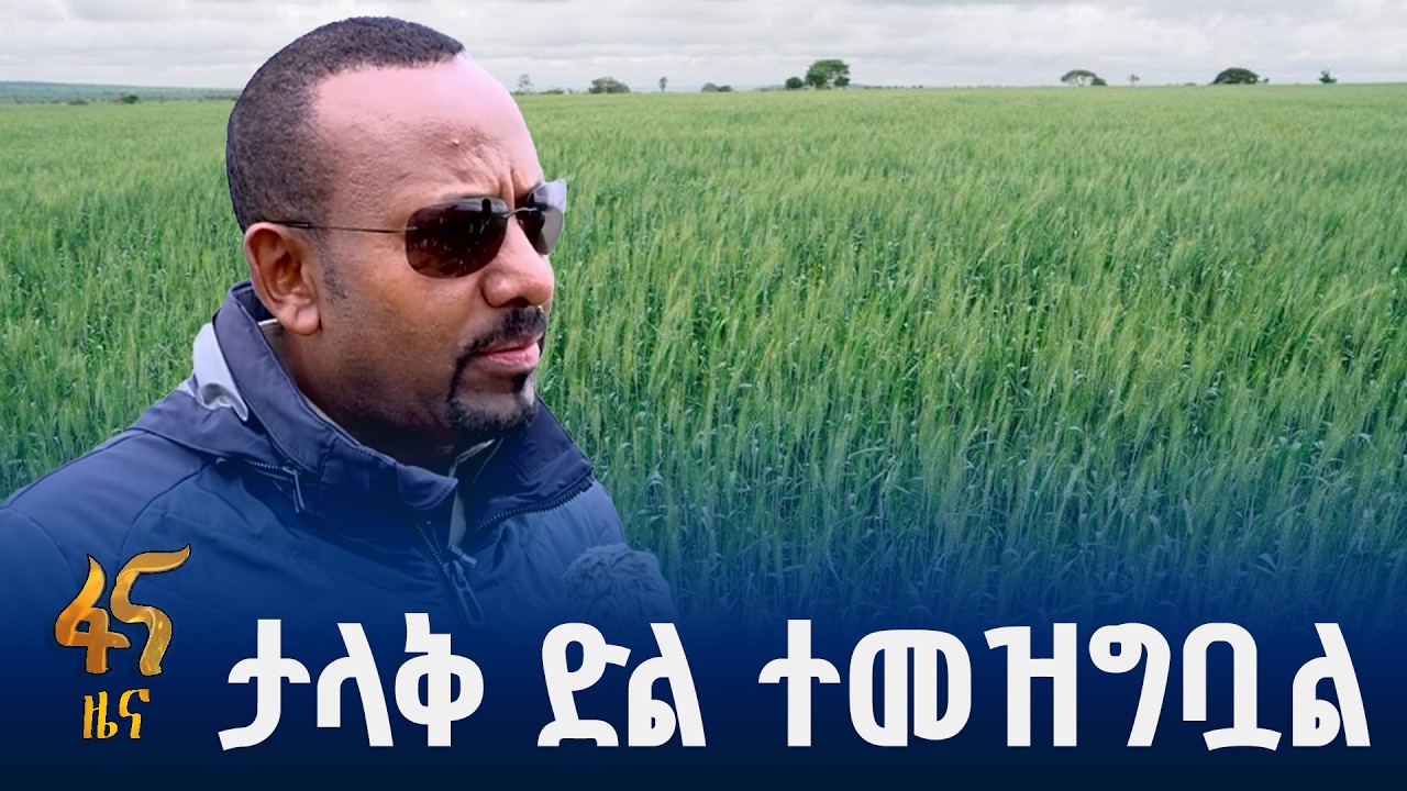 በጽናት ከችግር የመላቀቅ ተምሳሌት