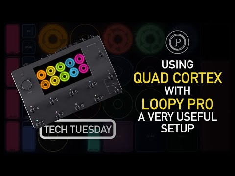 Using Quad Cortex with Loopy Pro
