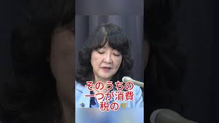 国民会議は誰のための組織なのか…財務省主導説に批判の声 #財務省 #国民会議 #政治ニュース #消費税 #日本経済