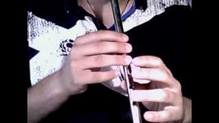 Newgrange - tin whistle tutorial (Wolfe Tones version)