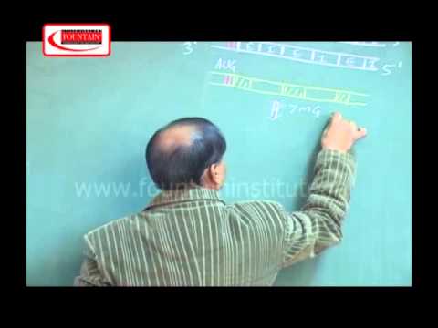 genetics & evaluation 5r 1