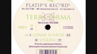 Terra Ferma - Visions (1997)