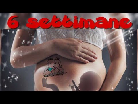 Congiunta titanio nel ginocchio Olio di sandalo per giunti dallEgitto