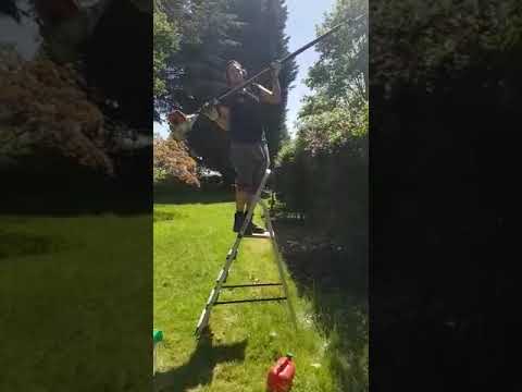 M.P Garden Care & Landscaping video.