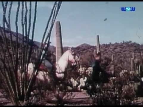 The Legend of Bigfoot