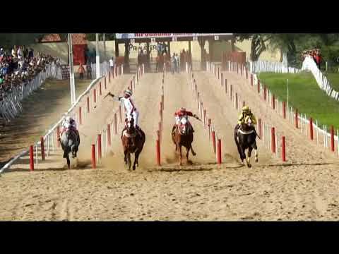 2 Páreo Clas XI GP Haras Primavera Canindé CE 18 de Março de 2018