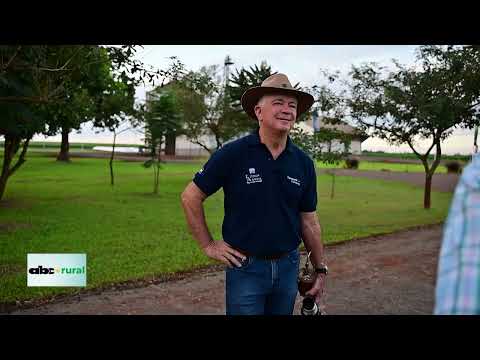 Historia de la Fazenda Almeida en Cedrales, Alto Paraná