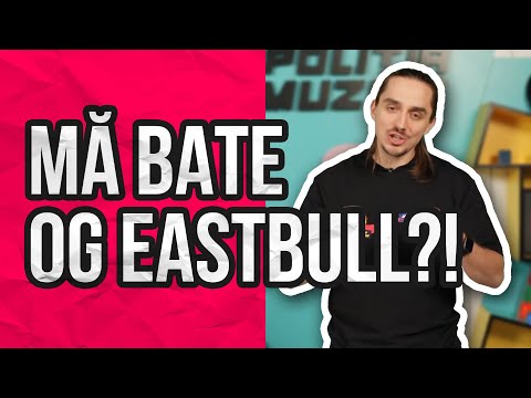 Politia Muzicii: A MURIT IUBITA LUI YNY SEBI?