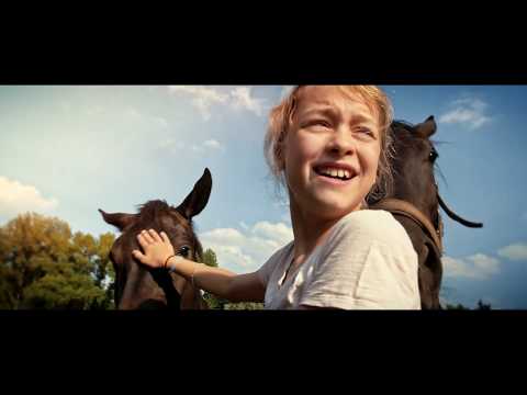 Stadt Bergen - "Hier sind wir zu Hause"