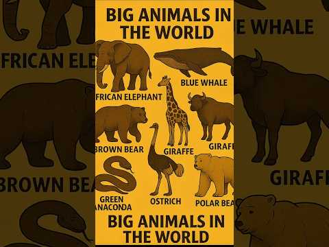 The biggest animals in the world🤯🔥☄️ #2