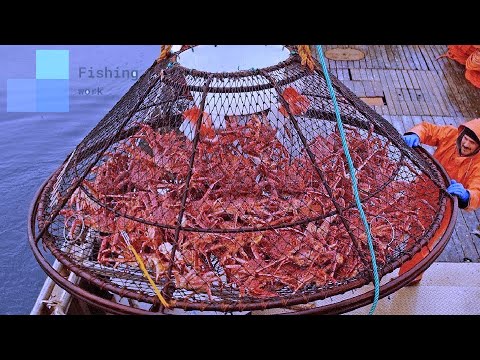 Awesome Big Alaska King Crab Fishing on The Sea ||  Traditional Net Catch Fishing in The Sea