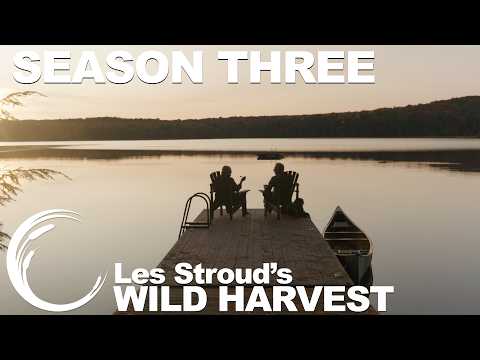 Wild Harvest Season 3 Promo