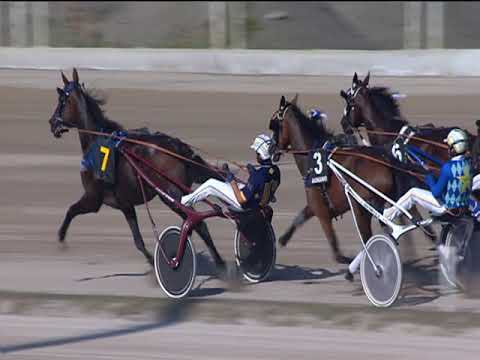 Trotto 22/09/2018 - 3ª corsa