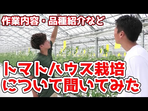 ラーケンの王立温室 - 定義