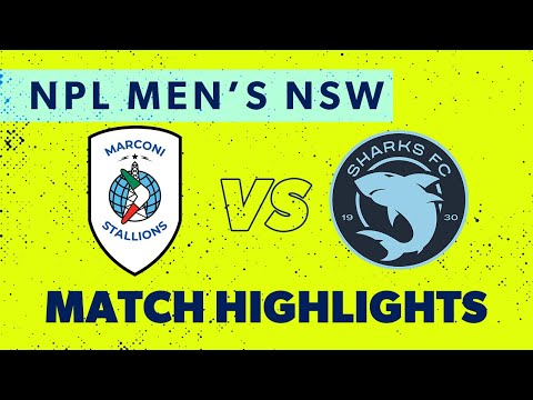NPL Men's NSW Round 30 Highlights – Marconi v Sutherland Sharks