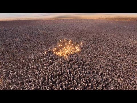 100 JOHN WICK VS 1,000,000 ZOMBIES 🧟 Ultimate Epic Battle Simulator 2