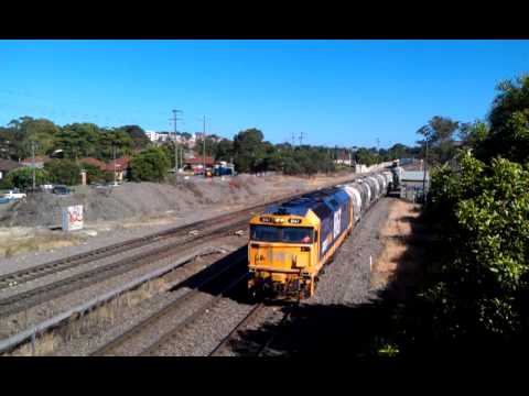 4124 X's NT33 Waratah