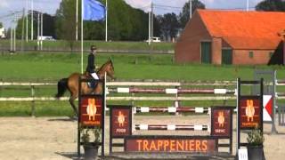 Video of Dantrex van T Laerhof