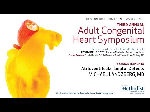 Atrioventricular Septal Defects (MICHAEL LANDZBERG, MD)