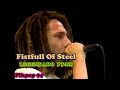 Fistfull Of Steel - Rage Against The Machine (Legendado PT-BR)