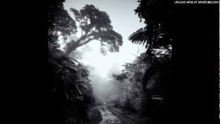 Whitefield Brothers - Prowlin