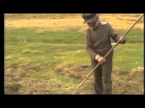 download lagu mp3 mp4 Gisli, download mp3 Gisli free downloadn, video klip Gisli