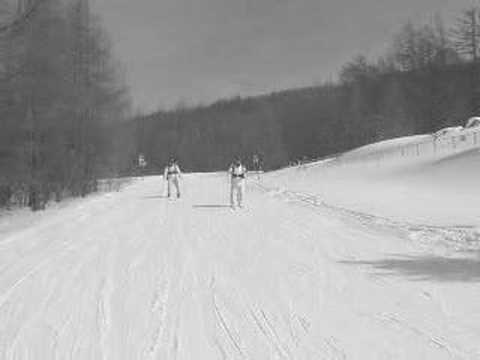 SS Freiwilligen Gebirgsjäger Ski Patrol