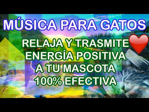la mejor MÚSICA para GATOS  relajante para sanar el cuerpo y el alma (larga duración)