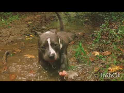 28 دجنبر، 2020