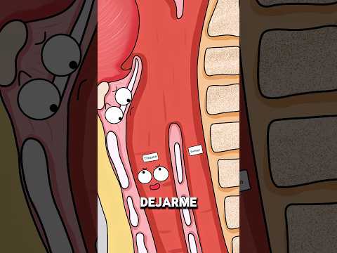 Por qué los alimentos en la tráquea pueden bloquear la respiración ⚠️..!! #salud #fypシ #traquea
