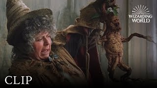 Mandrake Potting  Harry Potter and the Chamber of 