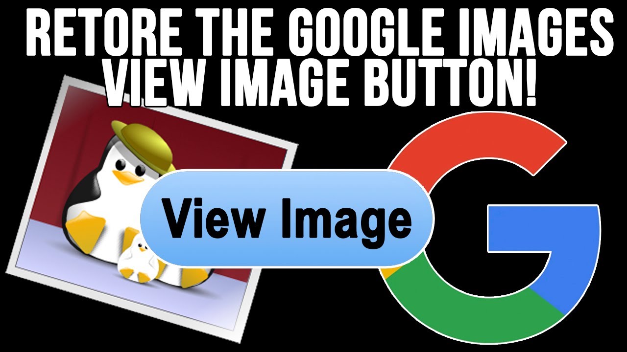 How to Add the View Image Button Back to Google Images