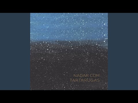 Nadar com tartarugas