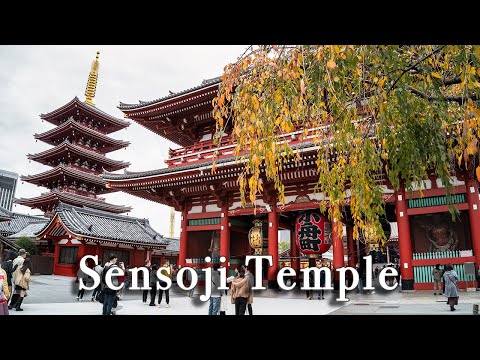 Sensoji Temple Asakusa Tokyo Japan【Full Tour in 4k】