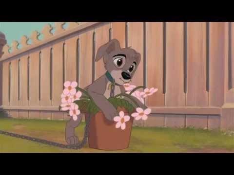 Lady and the Tramp 2 - A world without fences (English) + Lyrics
