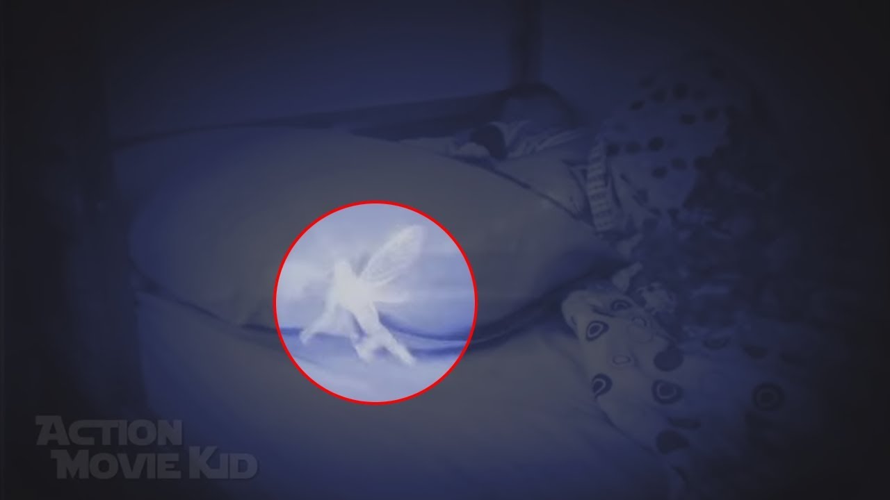 5 FADAS REAIS SUPOSTAMENTE CAPTURADAS POR CÂMERA