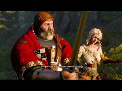 The Witcher 3 basilisk boss fight