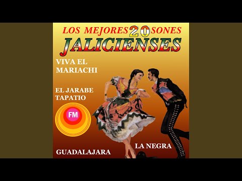 El Mariachi de Mi Tierra