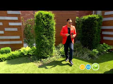 Bódi Csabi: Sexy Lady- 2015.06.09. - tv2.hu/fem3cafe