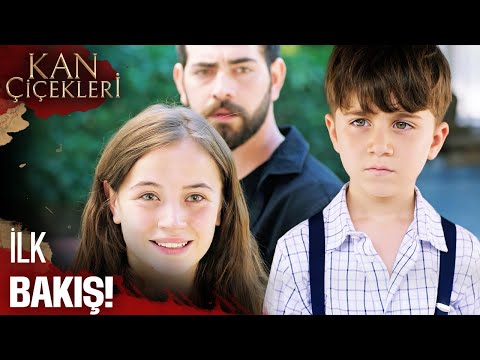 Anne Yüreği Hisseder - Kan Çiçekleri 356. Bölüm
