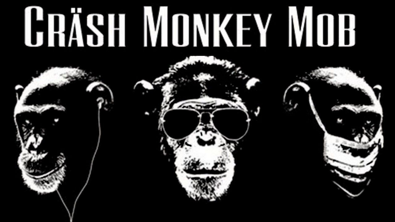 Promotional video thumbnail 1 for Däv and the Cräsh Monkey Mob