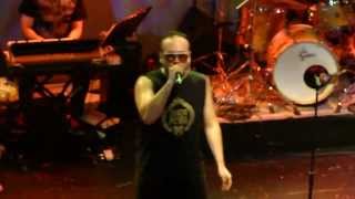 Chancho en Piedra // Empresaurio - en vivo HD