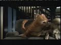 Garfield The Movie 2004 TV Spot 05